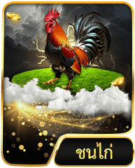 ไอคอน ตีไก่ MK8